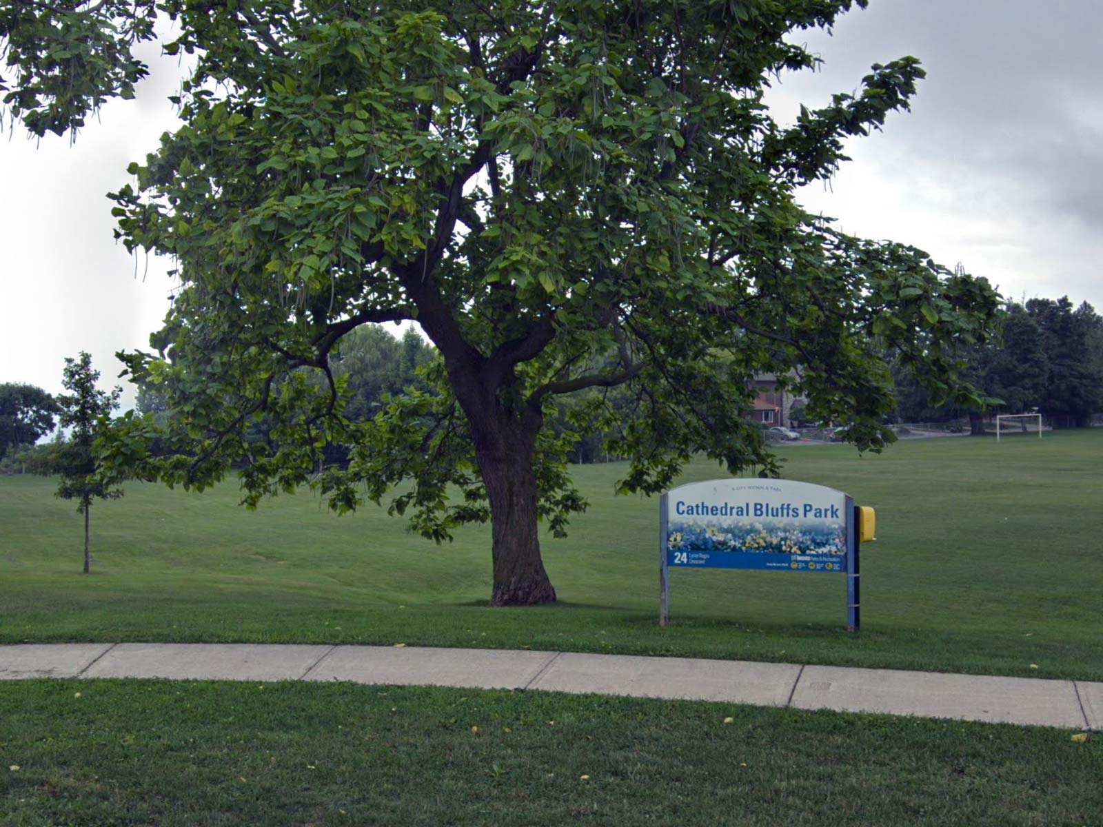Senior Care services Cliffcrest